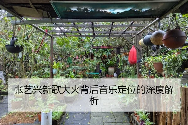 张艺兴新歌大火背后音乐定位的深度解析