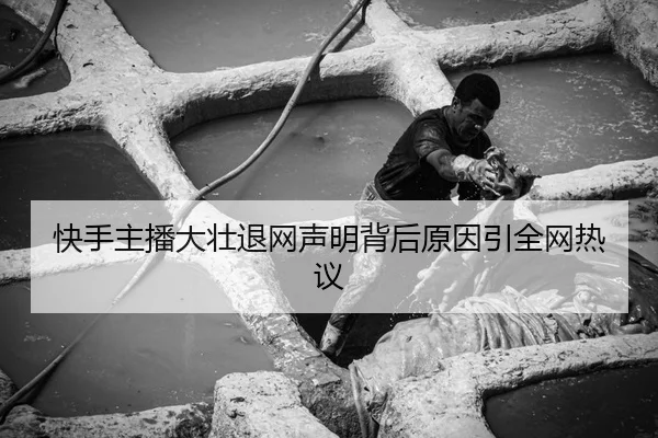 快手主播大壮退网声明背后原因引全网热议